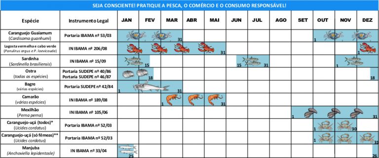 2016_Cartaz defesos_APAMs_SP