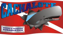 Cachalote