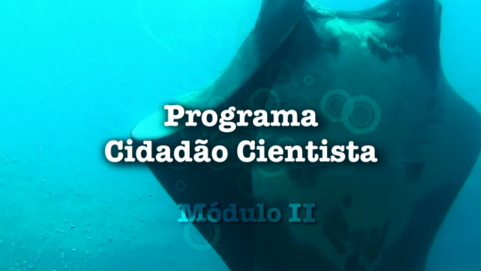 Videoaula - Programa Cidadão Cientista Modulo II